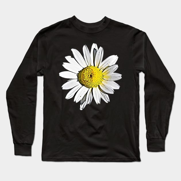 Denmark Flower Marguerite Daisy Argyranthemum Frutescens Pattern Long Sleeve T-Shirt by BubbleMench